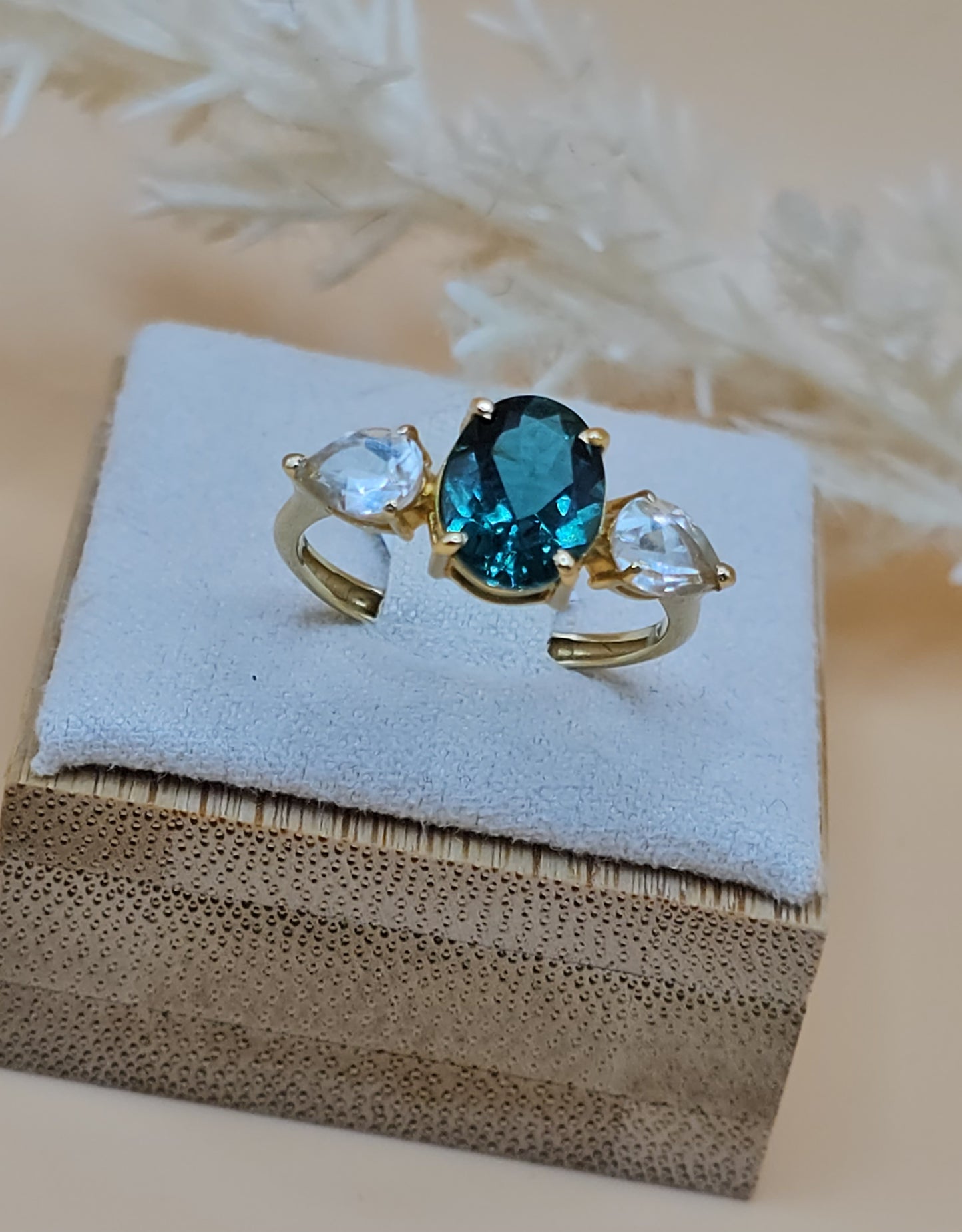 Ring Czs