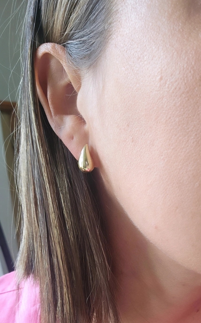 Bottega earring